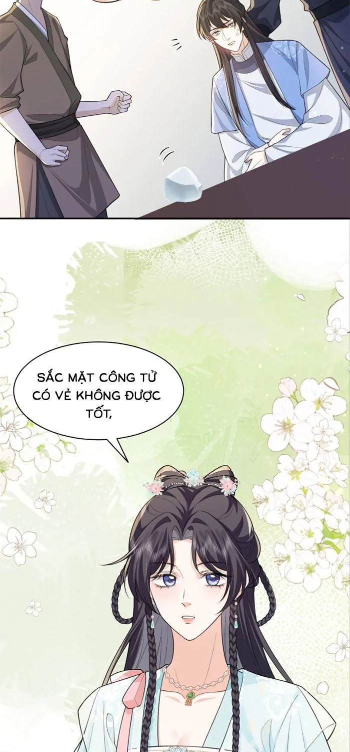 Sau Khi Báo Thù Tỷ Tỷ Ta Làm Hoàng Tử Phi Chapter 5 - Trang 4