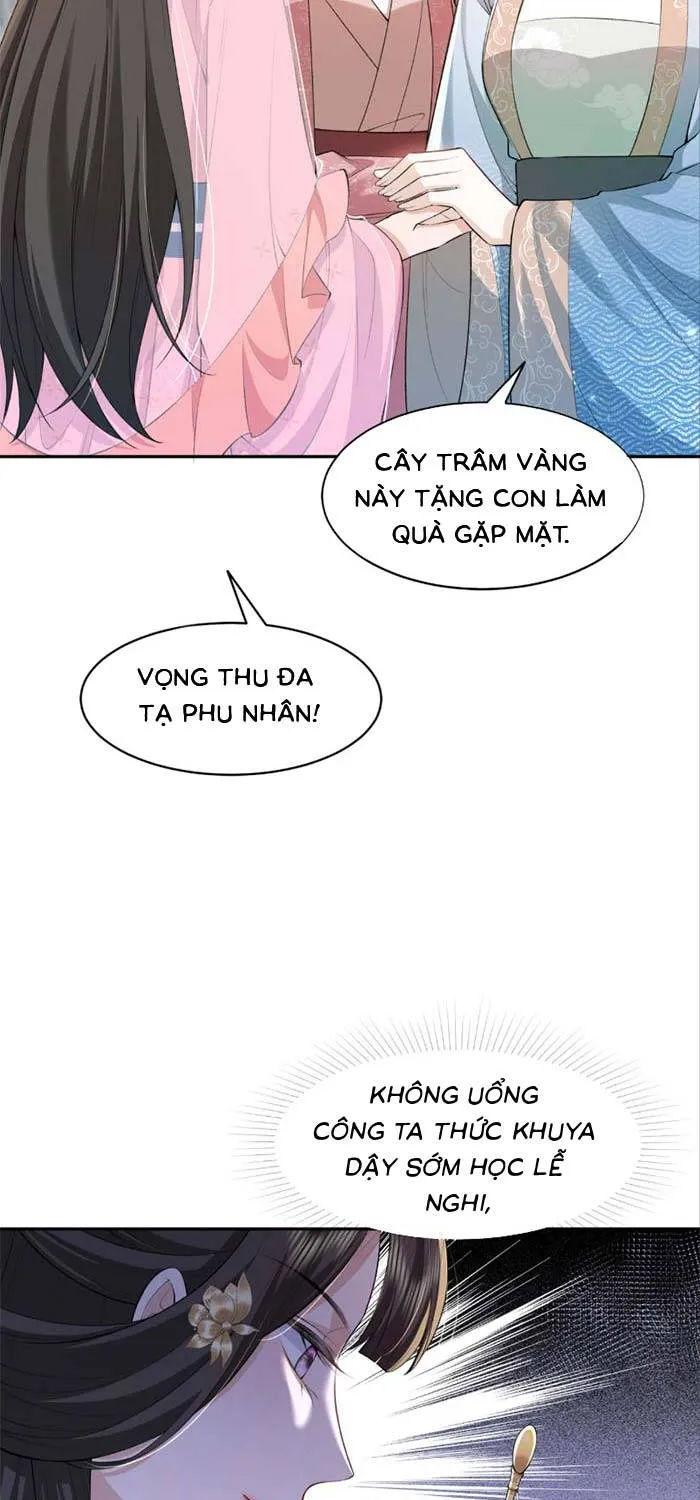 Sau Khi Báo Thù Tỷ Tỷ Ta Làm Hoàng Tử Phi Chapter 6 - Trang 17