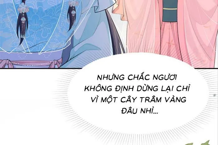 Sau Khi Báo Thù Tỷ Tỷ Ta Làm Hoàng Tử Phi Chapter 6 - Trang 19