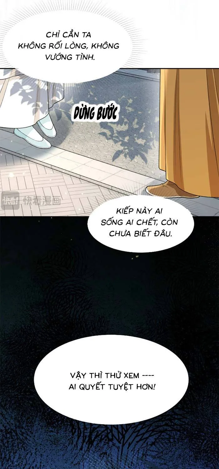 Sau Khi Báo Thù Tỷ Tỷ Ta Làm Hoàng Tử Phi Chapter 8 - Trang 12