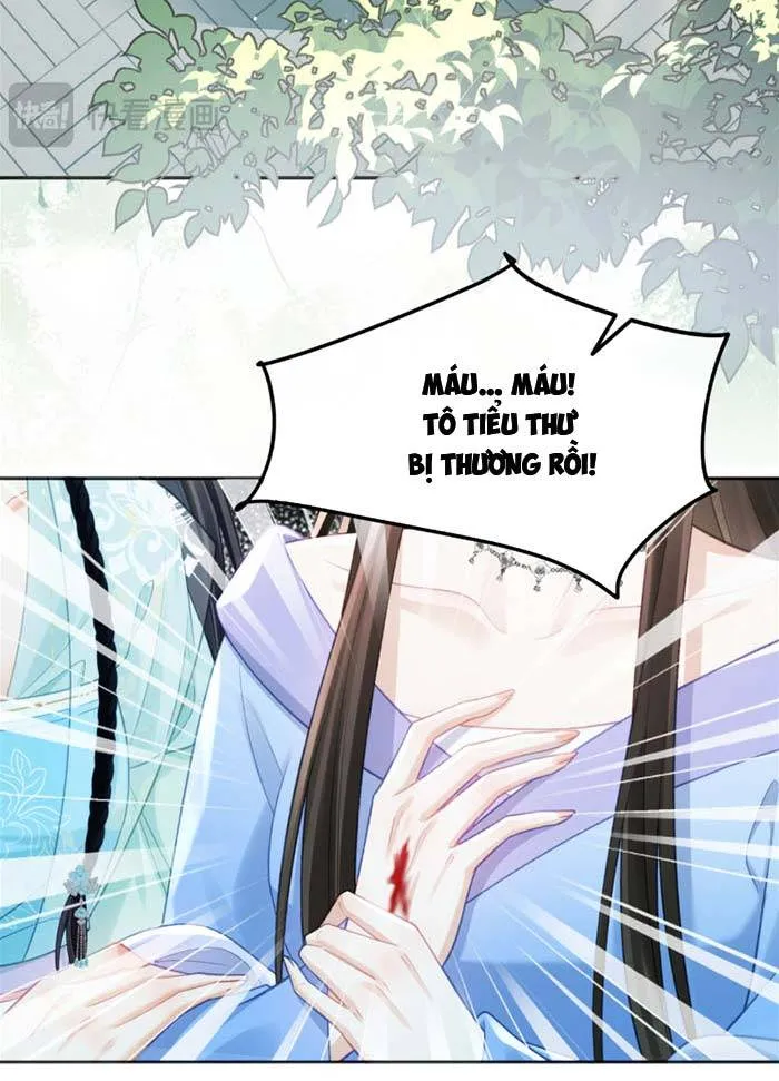 Sau Khi Báo Thù Tỷ Tỷ Ta Làm Hoàng Tử Phi Chapter 9 - Trang 14