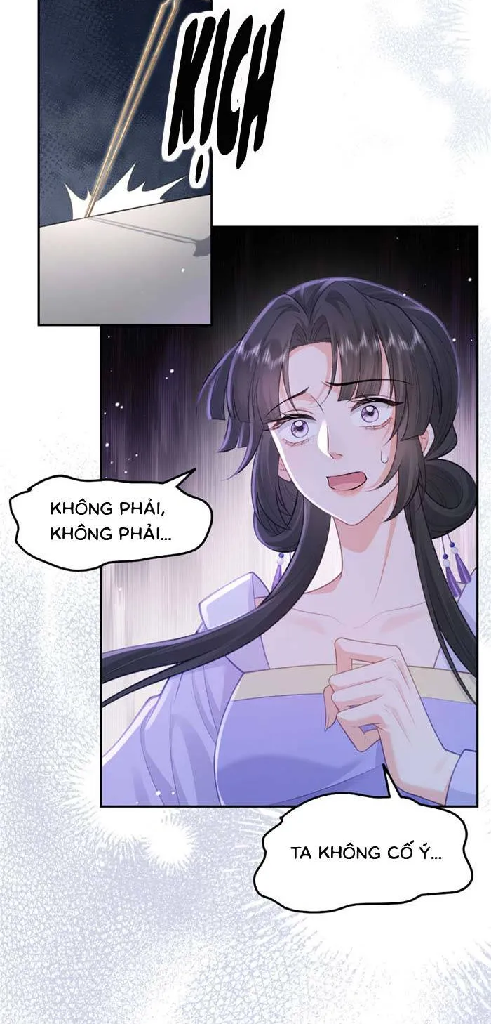 Sau Khi Báo Thù Tỷ Tỷ Ta Làm Hoàng Tử Phi Chapter 9 - Trang 18
