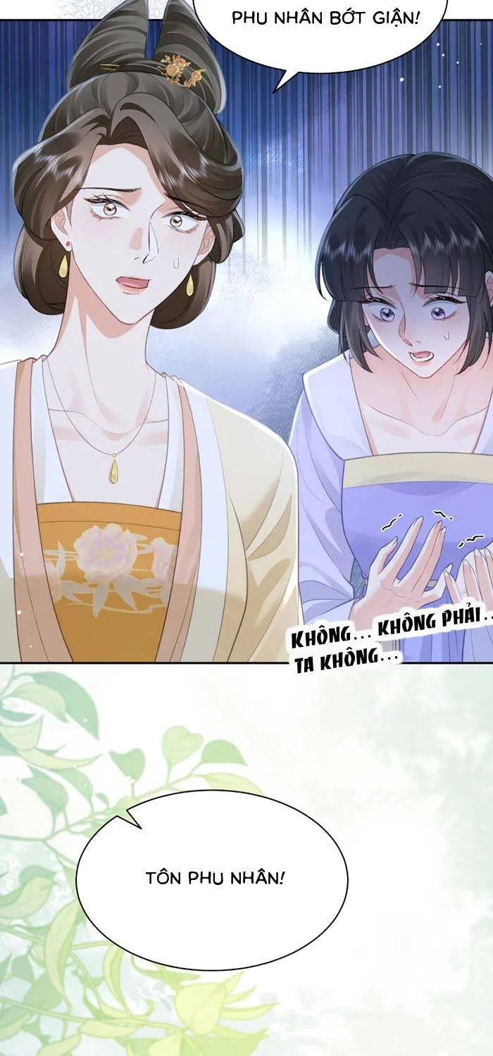 Sau Khi Báo Thù Tỷ Tỷ Ta Làm Hoàng Tử Phi Chapter 9 - Trang 21