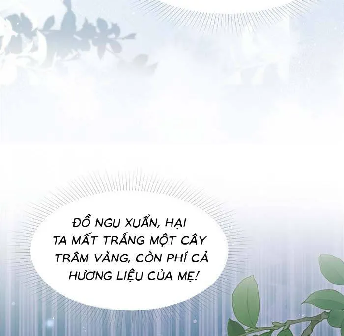 Sau Khi Báo Thù Tỷ Tỷ Ta Làm Hoàng Tử Phi Chapter 9 - Trang 9