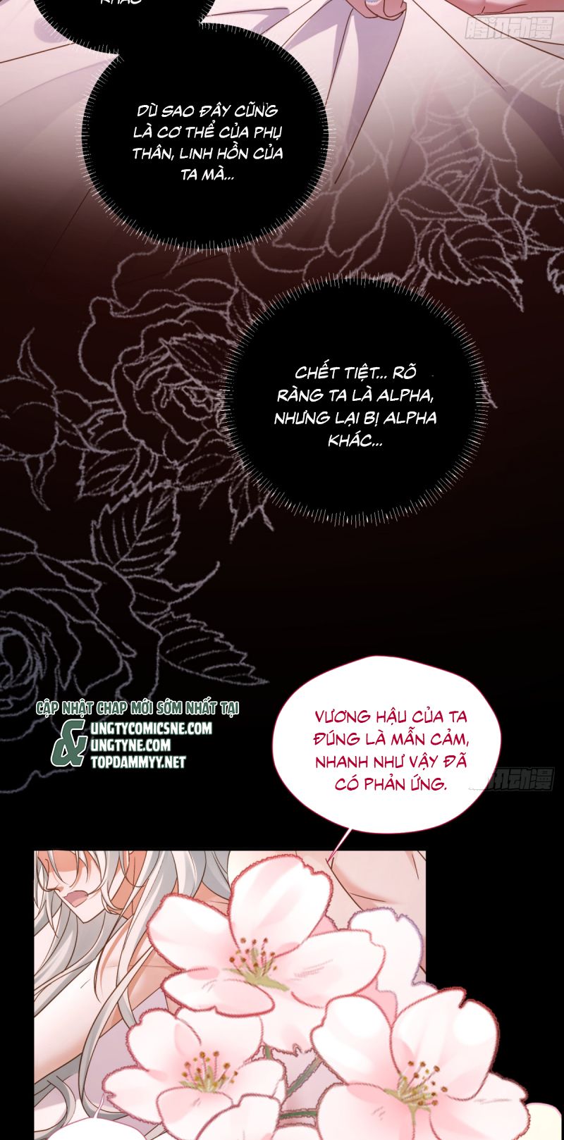 SAU KHI BỊ BẠO QUÂN QUÂN PHU CƯỜNG CHIẾM Chapter 2 - Trang 7
