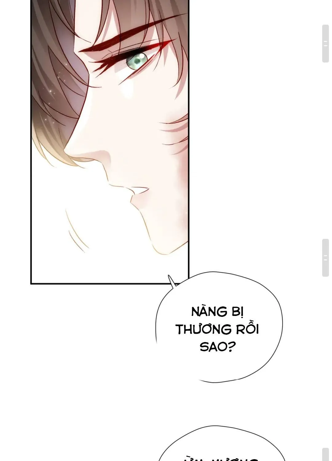 Sau Khi Cứu Rỗi Nam Phụ, Ta Liền Bị Hắn Ăn Sạch Chapter 11 - Trang 40