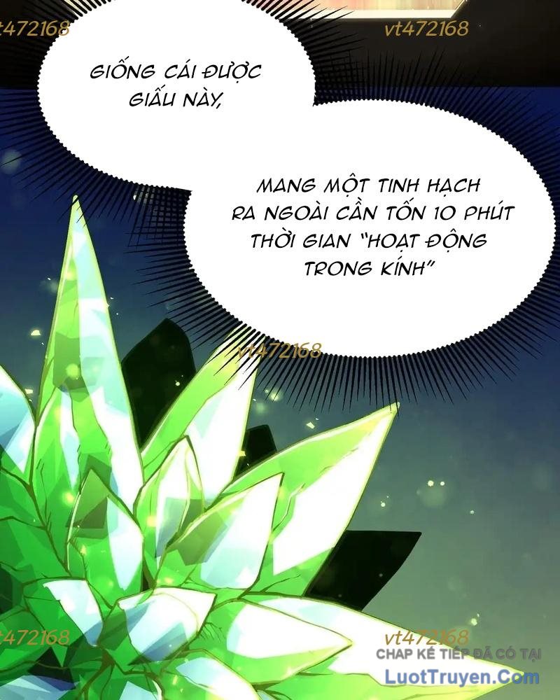 Sau Khi Trùng Sinh, Ta Dùng Kính Phản Diện Phục Thù Chapter 16 - Trang 8