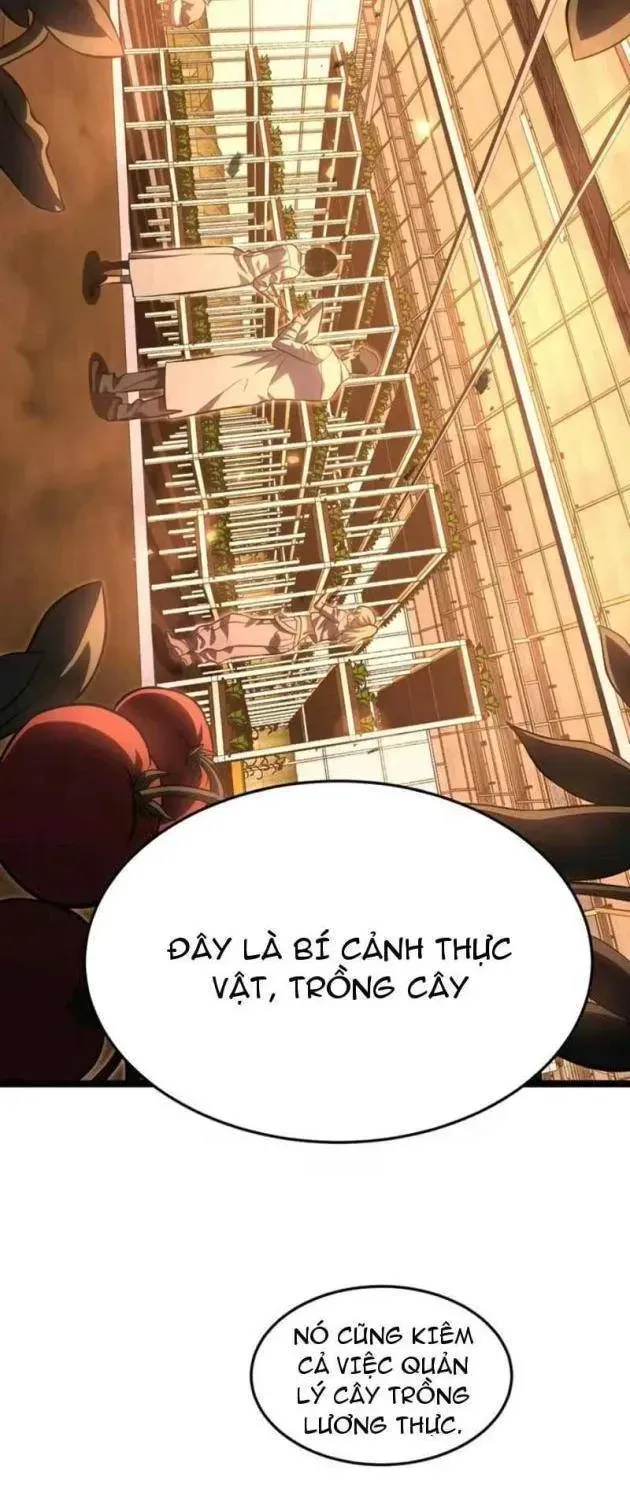 Sau Khi Trùng Sinh, Ta Dùng Kính Phản Diện Phục Thù Chapter 52 - Trang 12