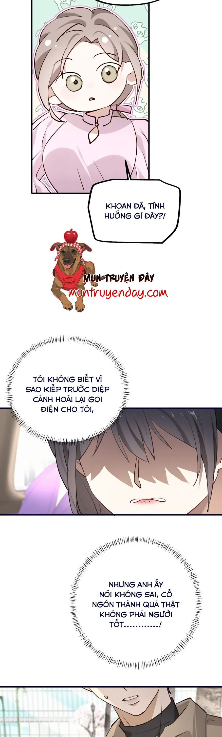 Sau Khi Trùng Sinh, Tôi Gả Cho Kẻ Thù Không Đội Trời Chung Của Tên Tra Nam Chapter 1 - Trang 48