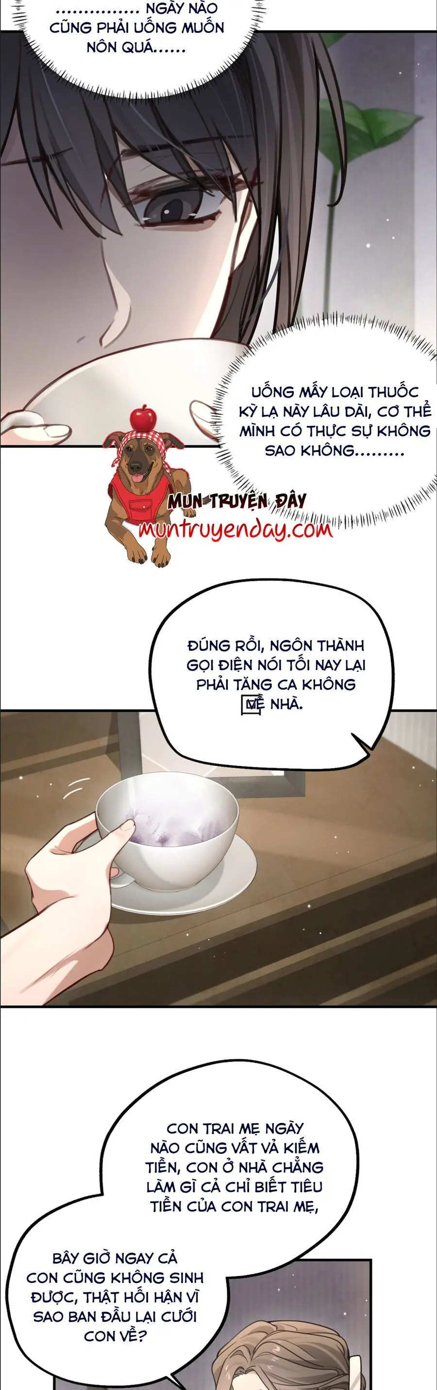 Sau Khi Trùng Sinh, Tôi Gả Cho Kẻ Thù Không Đội Trời Chung Của Tên Tra Nam Chapter 1 - Trang 8
