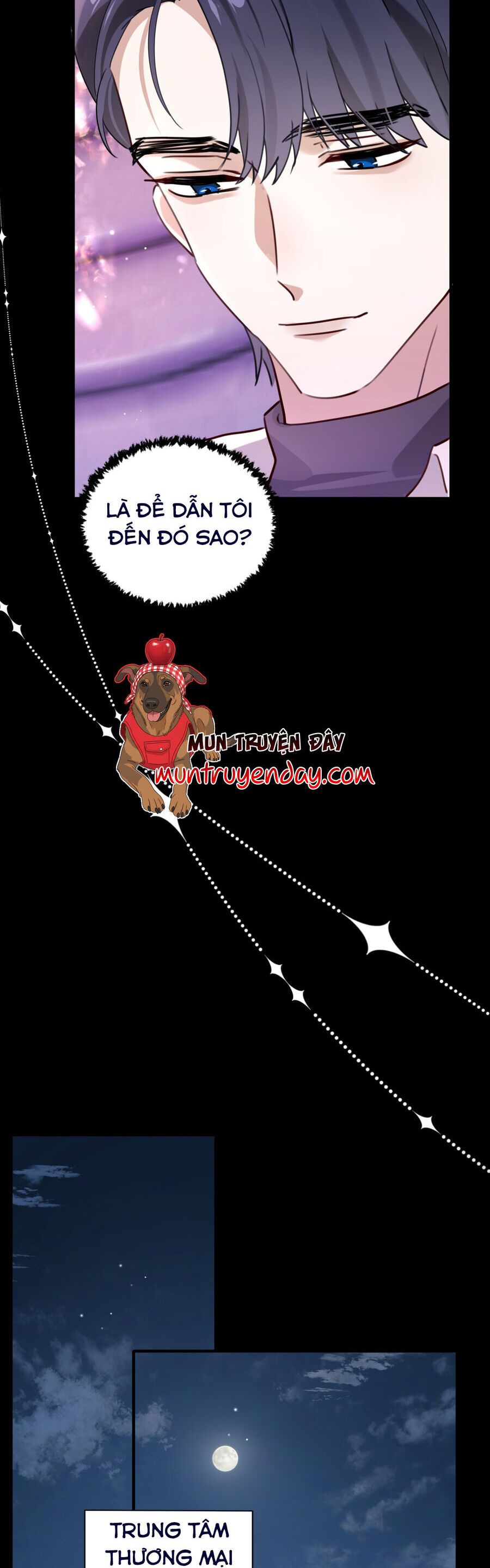 Sau Khi Trùng Sinh, Tôi Gả Cho Kẻ Thù Không Đội Trời Chung Của Tên Tra Nam Chapter 4 - Trang 6