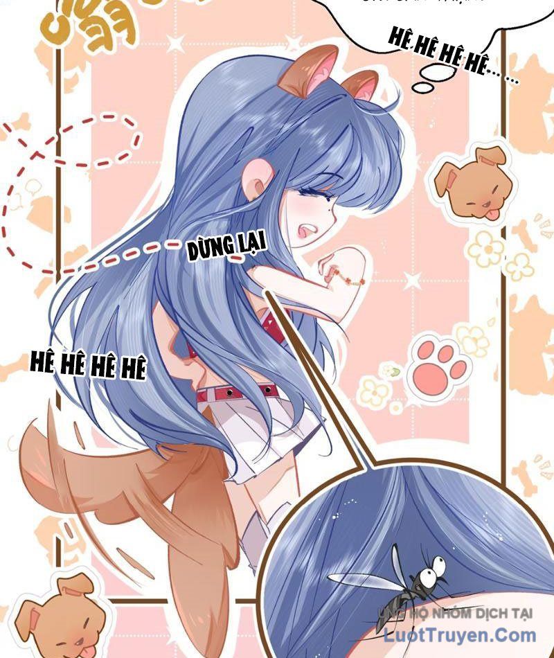 Sau Khi Xuyên Không Thành Thiên Kim Giả, Ta Lấy Lòng Thiên Kim Thật Sống Qua Ngày Chapter 1 - Trang 40