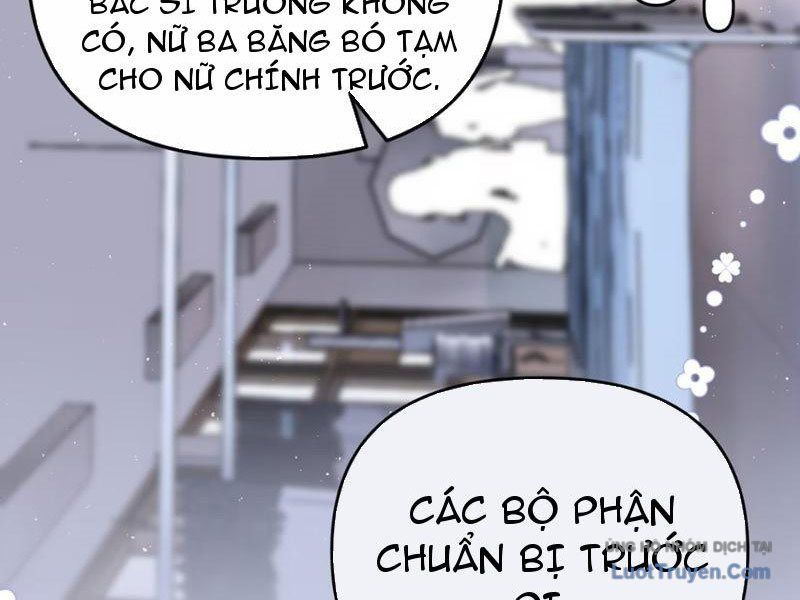 Sau Khi Xuyên Không Thành Thiên Kim Giả, Ta Lấy Lòng Thiên Kim Thật Sống Qua Ngày Chapter 4 - Trang 4