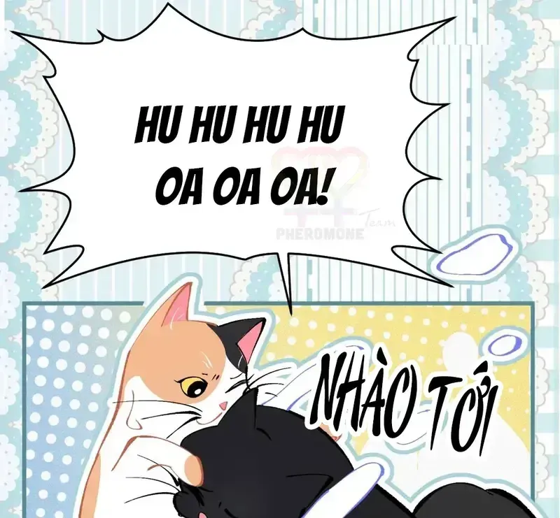 Sau Khi Xuyên Không Thành Thiên Kim Giả, Ta Lấy Lòng Thiên Kim Thật Sống Qua Ngày Chapter 48.5 - Trang 11