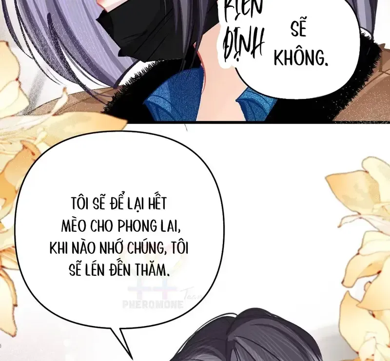 Sau Khi Xuyên Không Thành Thiên Kim Giả, Ta Lấy Lòng Thiên Kim Thật Sống Qua Ngày Chapter 52 - Trang 42