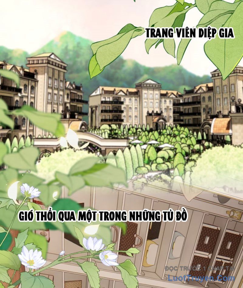 Sau Khi Xuyên Không Thành Thiên Kim Giả, Ta Lấy Lòng Thiên Kim Thật Sống Qua Ngày Chapter 7 - Trang 32