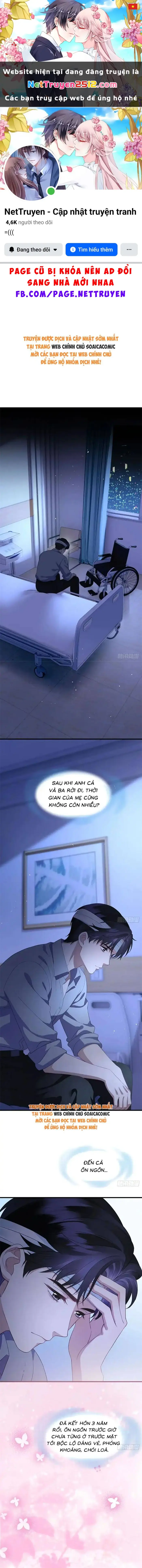 Sau Ly Hôn Chồng Cũ Cứ Muốn Trở Lại Làm Chính Thất Chapter 21 - Trang 2