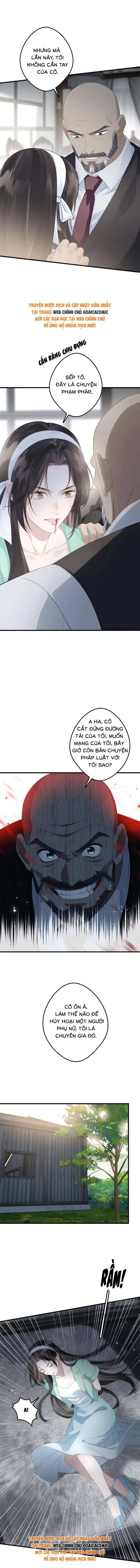 Sau Ly Hôn Chồng Cũ Cứ Muốn Trở Lại Làm Chính Thất Chapter 23 - Trang 11