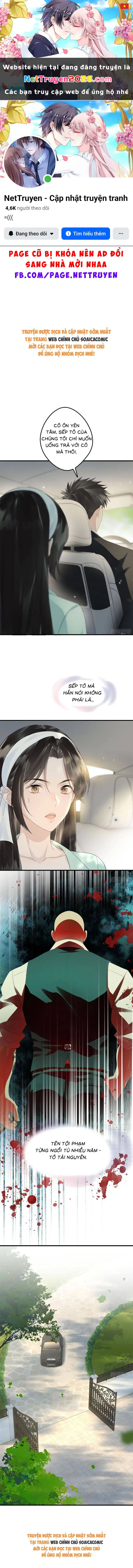Sau Ly Hôn Chồng Cũ Cứ Muốn Trở Lại Làm Chính Thất Chapter 23 - Trang 2