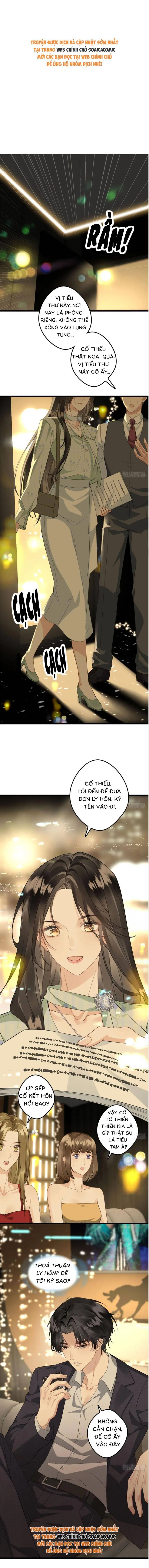 Sau Ly Hôn Chồng Cũ Cứ Muốn Trở Lại Làm Chính Thất Chapter 3 - Trang 2