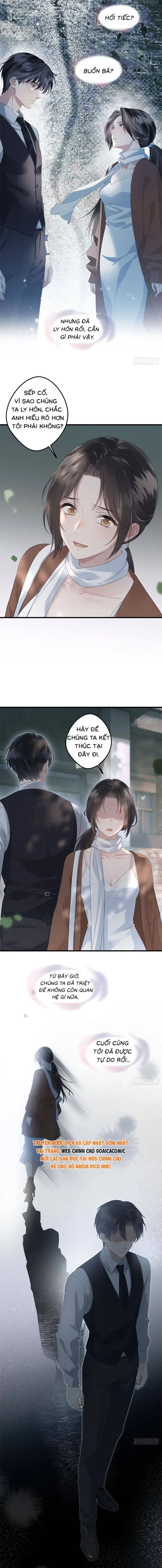 Sau Ly Hôn Chồng Cũ Cứ Muốn Trở Lại Làm Chính Thất Chapter 31 - Trang 3