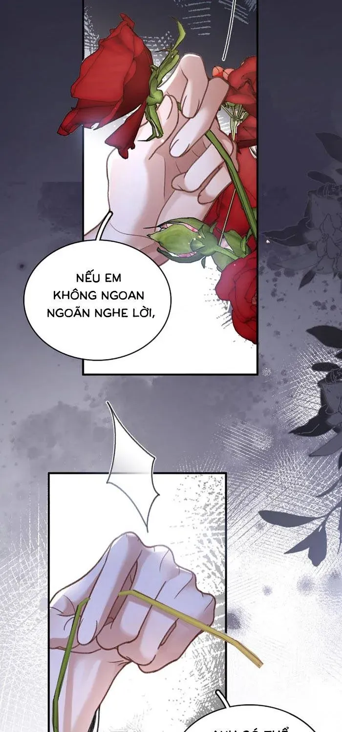 Sau Ly Hôn, Hạnh Phúc Gõ Cửa Chapter 3.2 - Trang 12