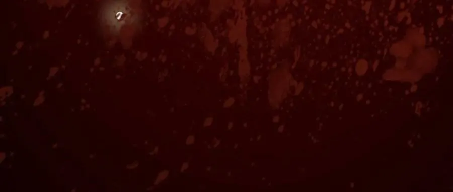 Sau nhiều lần tìm cái chết, ta trở thành đế tôn vạn người mê Chapter 4 - Trang 27