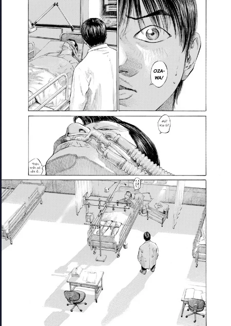 Say Hello To Black Jack Chapter 126 - Trang 6
