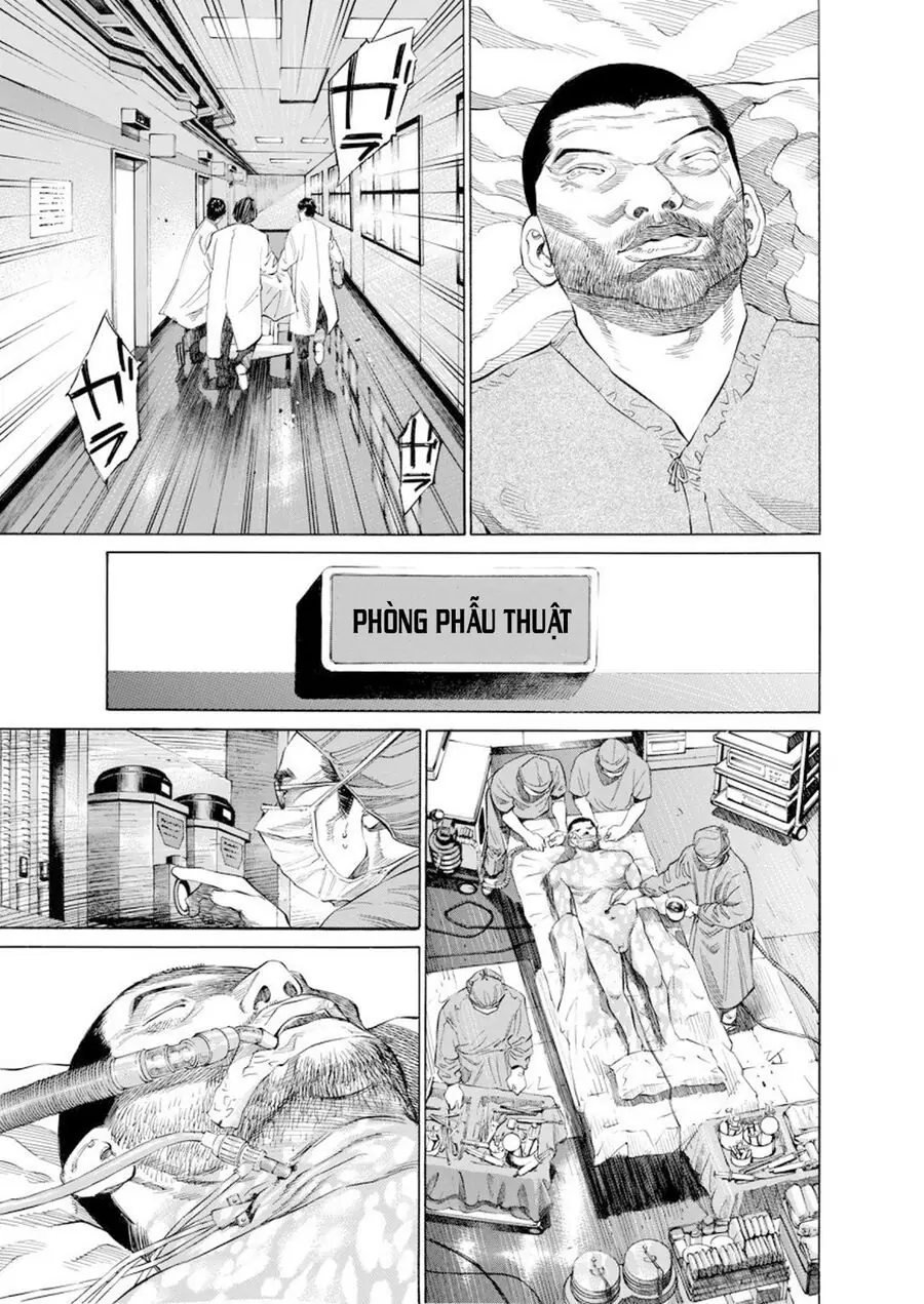 Say Hello To Black Jack Chapter 15 - Trang 14