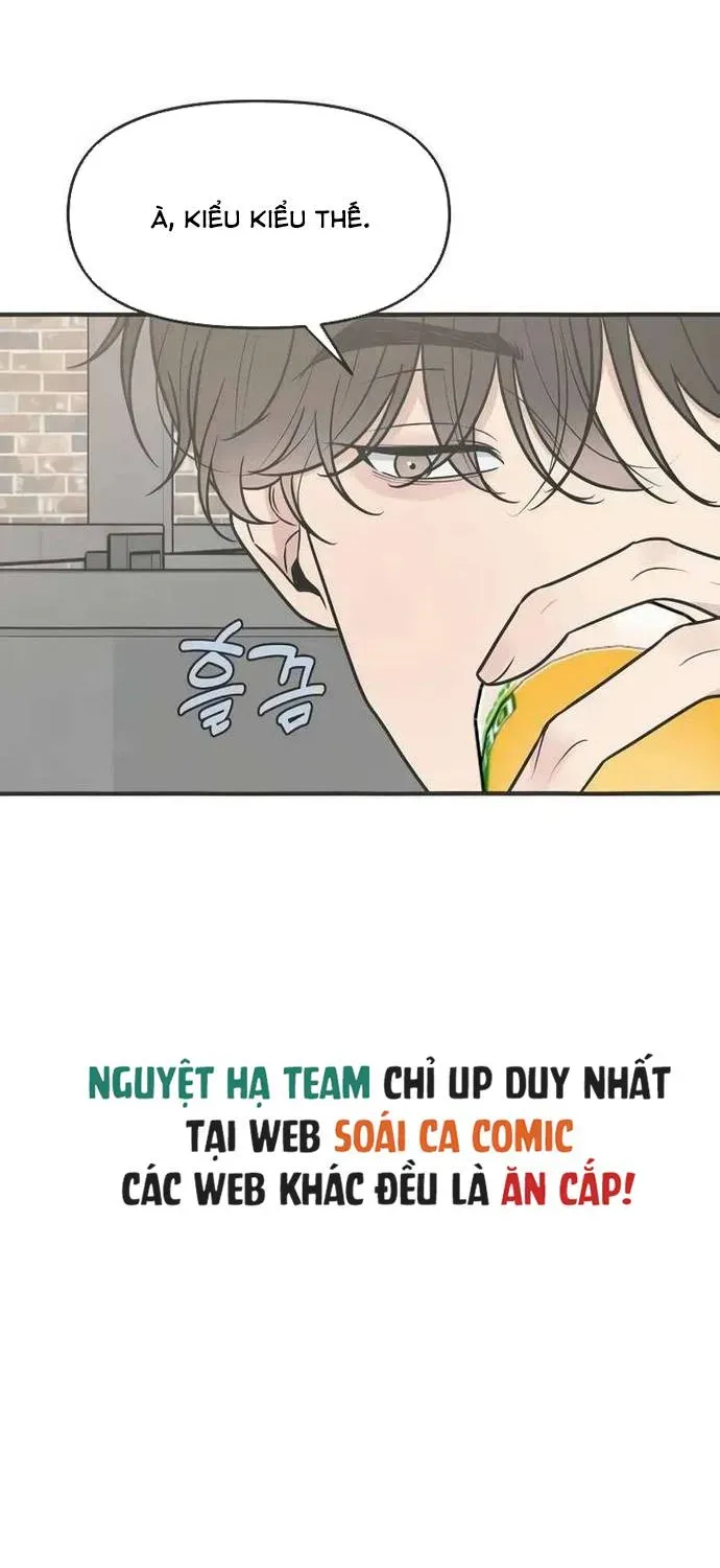Scandal Bảo Vệ Hôn Nhân Chapter 5 - Trang 31