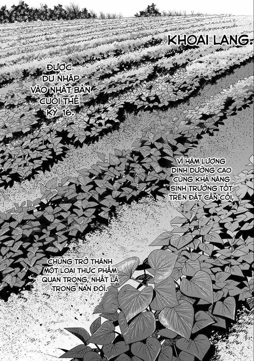 Sengoku Komachi Kurou Tan Chapter 2 - Trang 33
