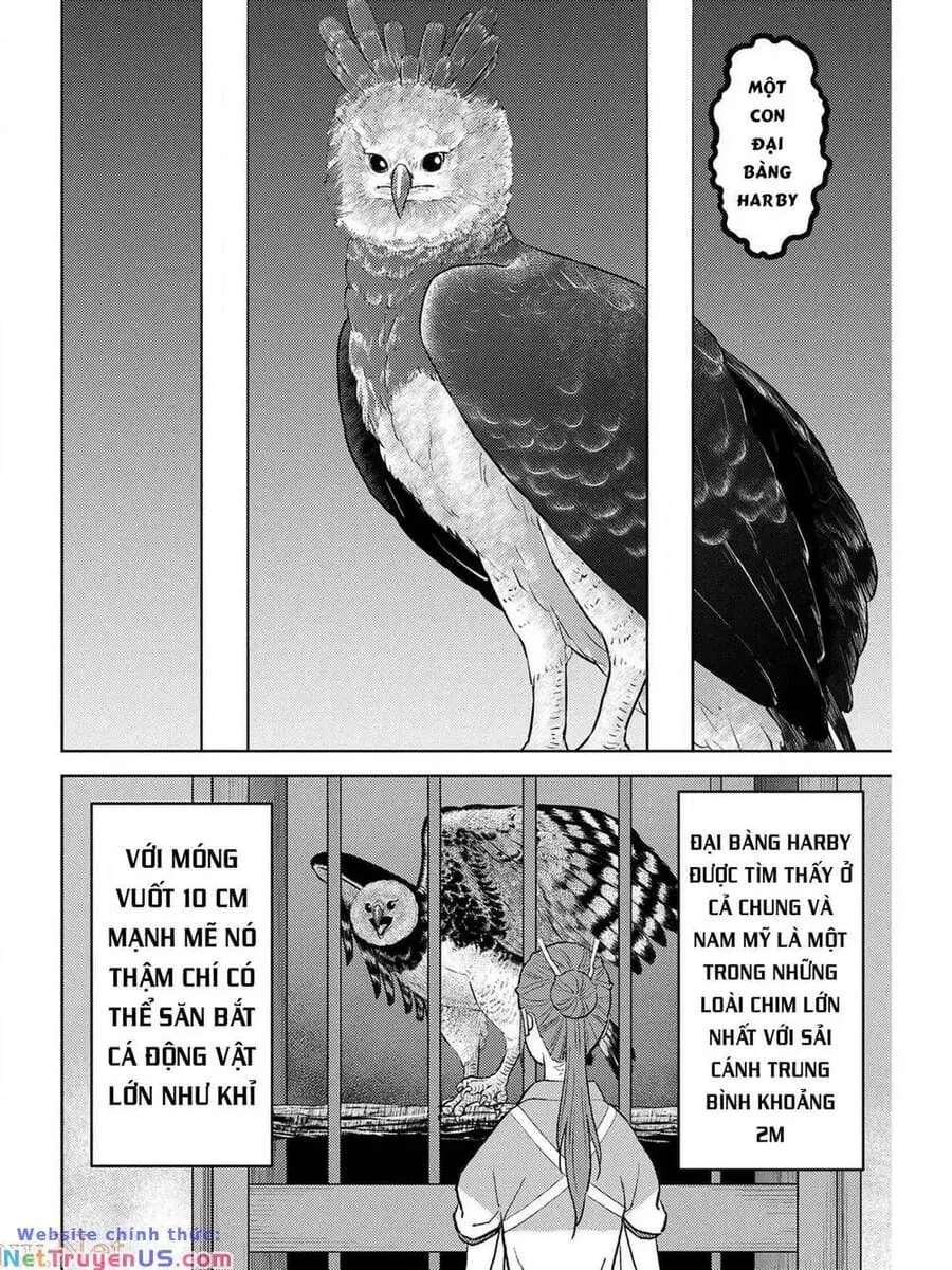 Sengoku Komachi Kurou Tan Chapter 38 - Trang 25