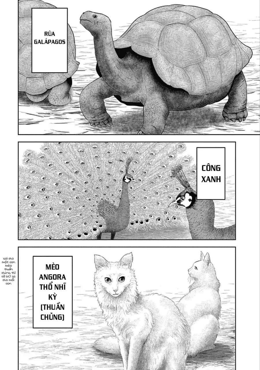Sengoku Komachi Kurou Tan Chapter 40 - Trang 32