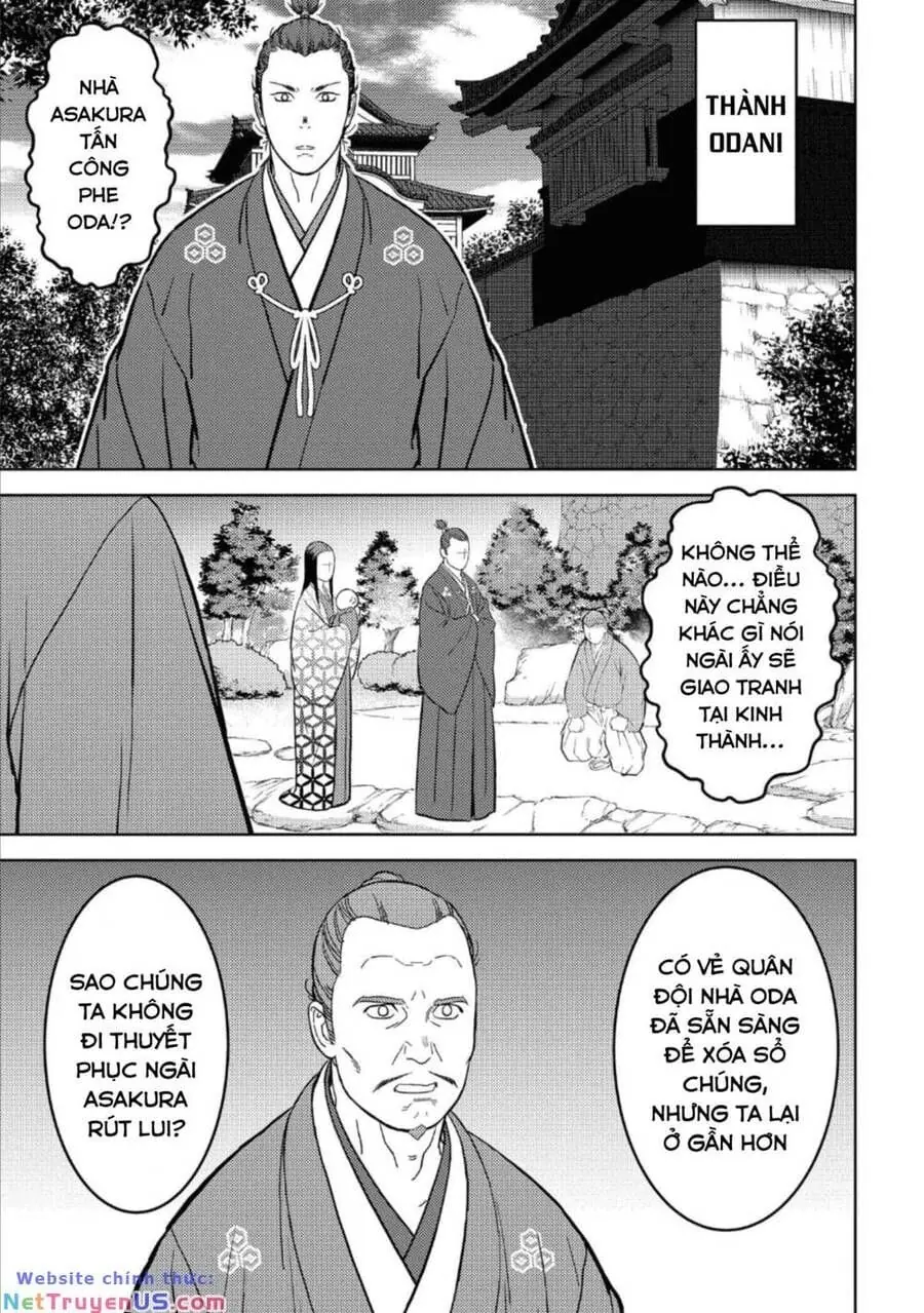 Sengoku Komachi Kurou Tan Chapter 43 - Trang 12