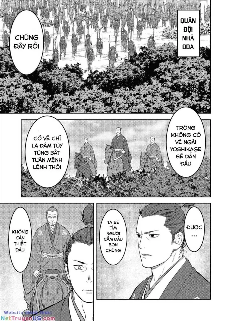 Sengoku Komachi Kurou Tan Chapter 43 - Trang 14