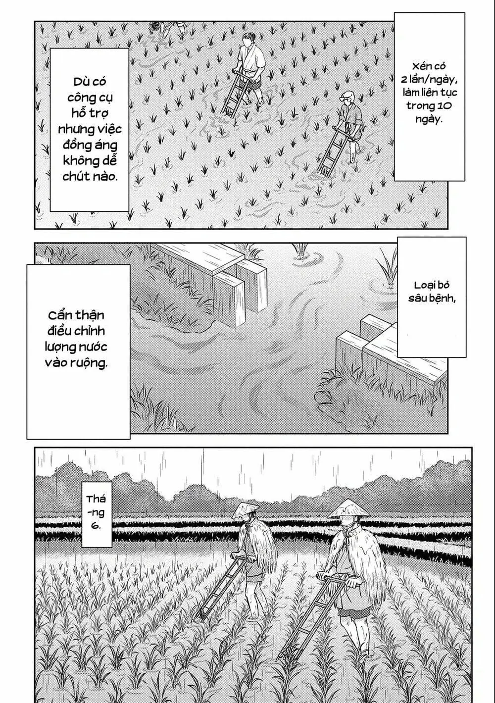 Sengoku Komachi Kurou Tan Chapter 6 - Trang 35