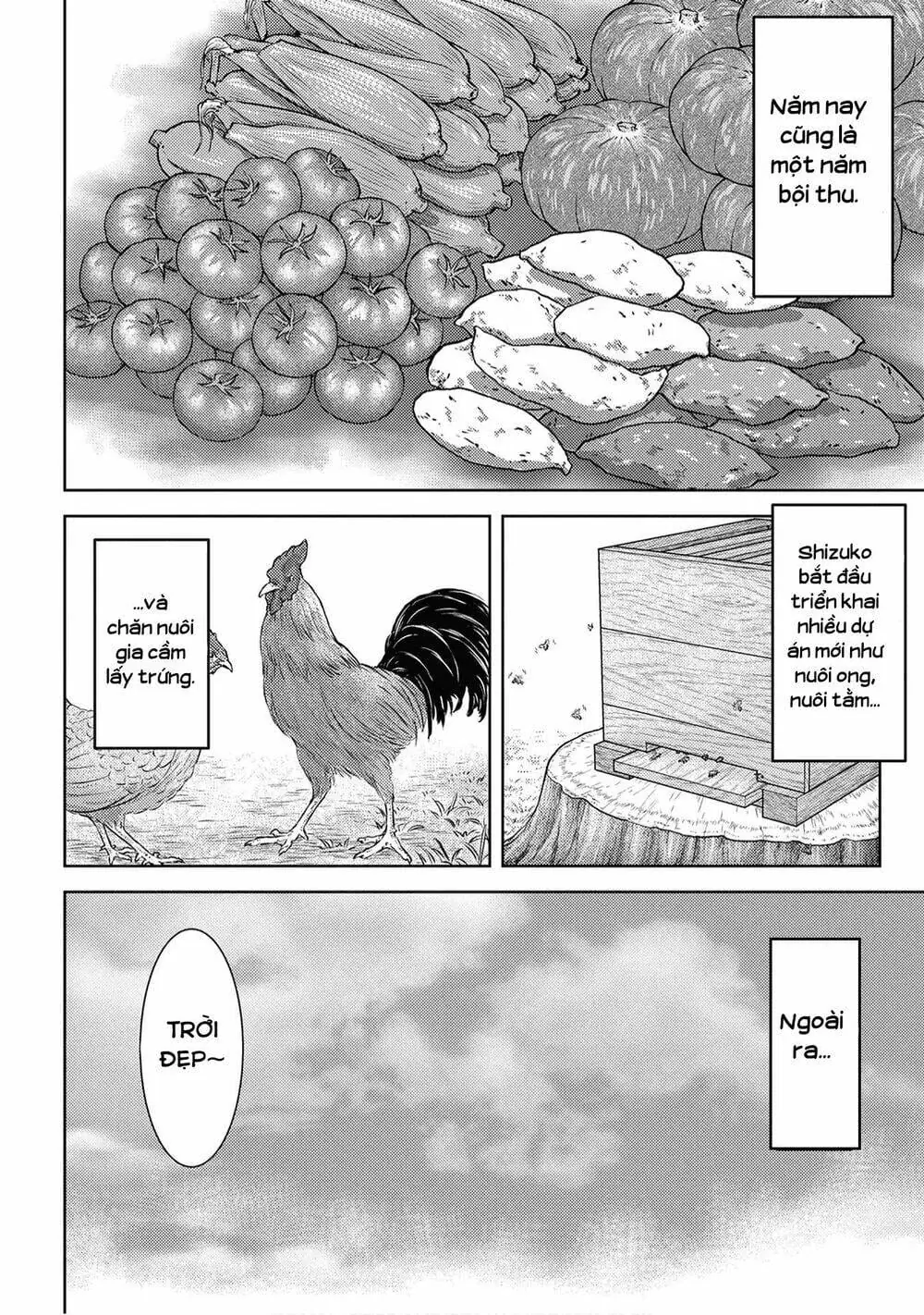 Sengoku Komachi Kurou Tan Chapter 8 - Trang 11