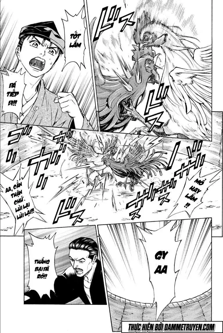 Shana Oh Yoshitsune (Ss2) Chapter 71.2 - Trang 8