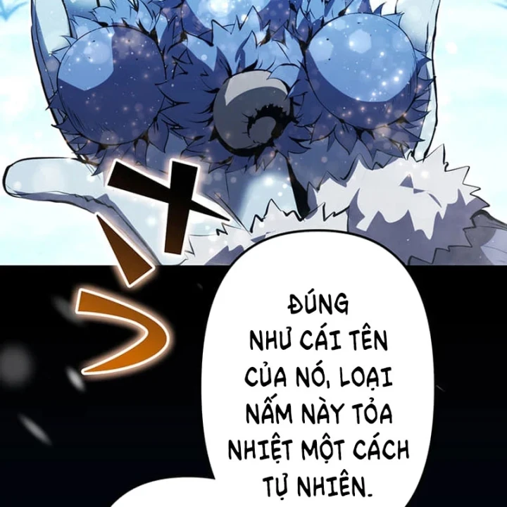 Siêu Trộm Kỹ Năng Cấp Cheat Chapter 23 - Trang 22