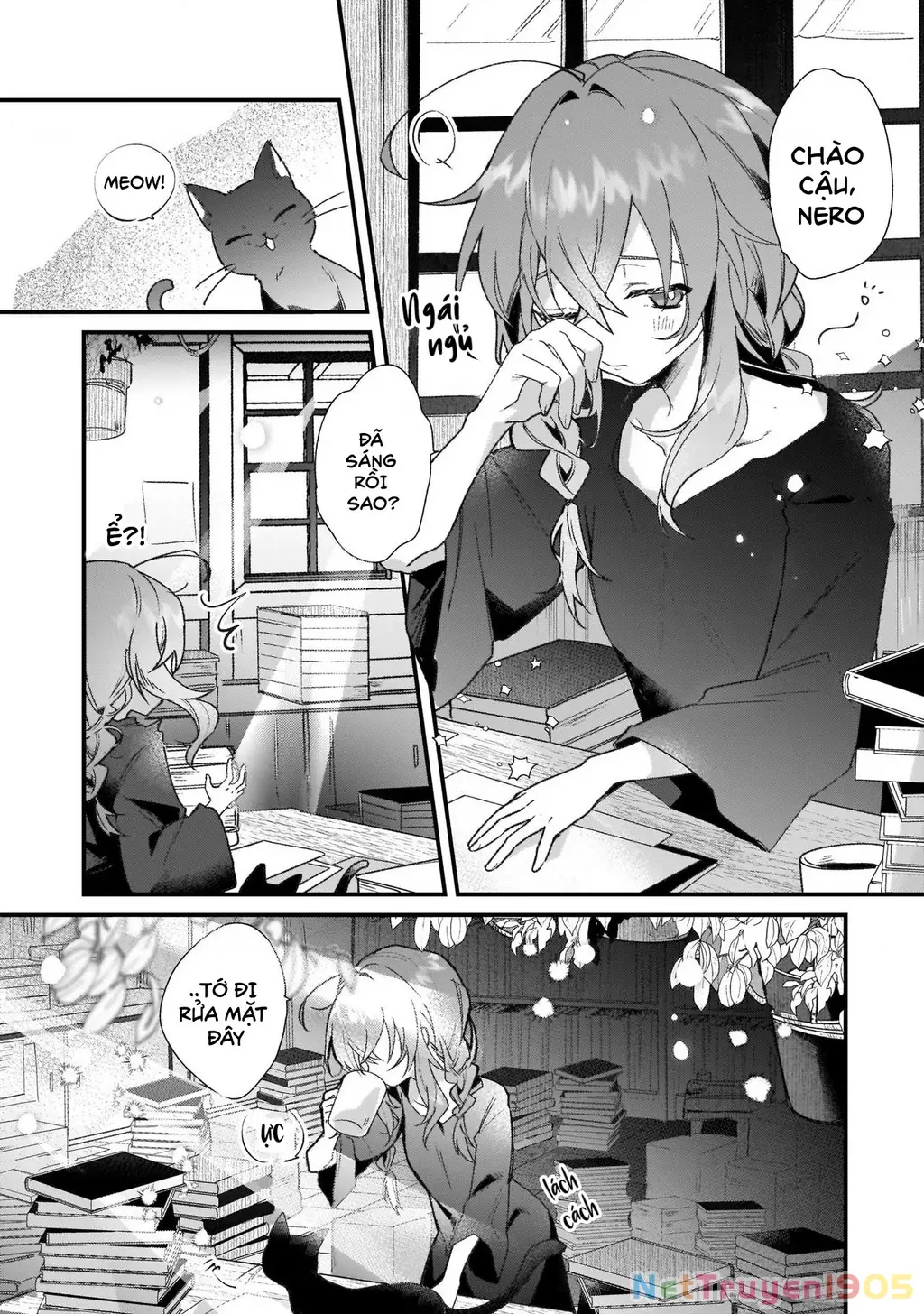 Silent Witch: Bí Mật Của Phù Thủy Tĩnh Lặng Chapter 1 - Trang 3