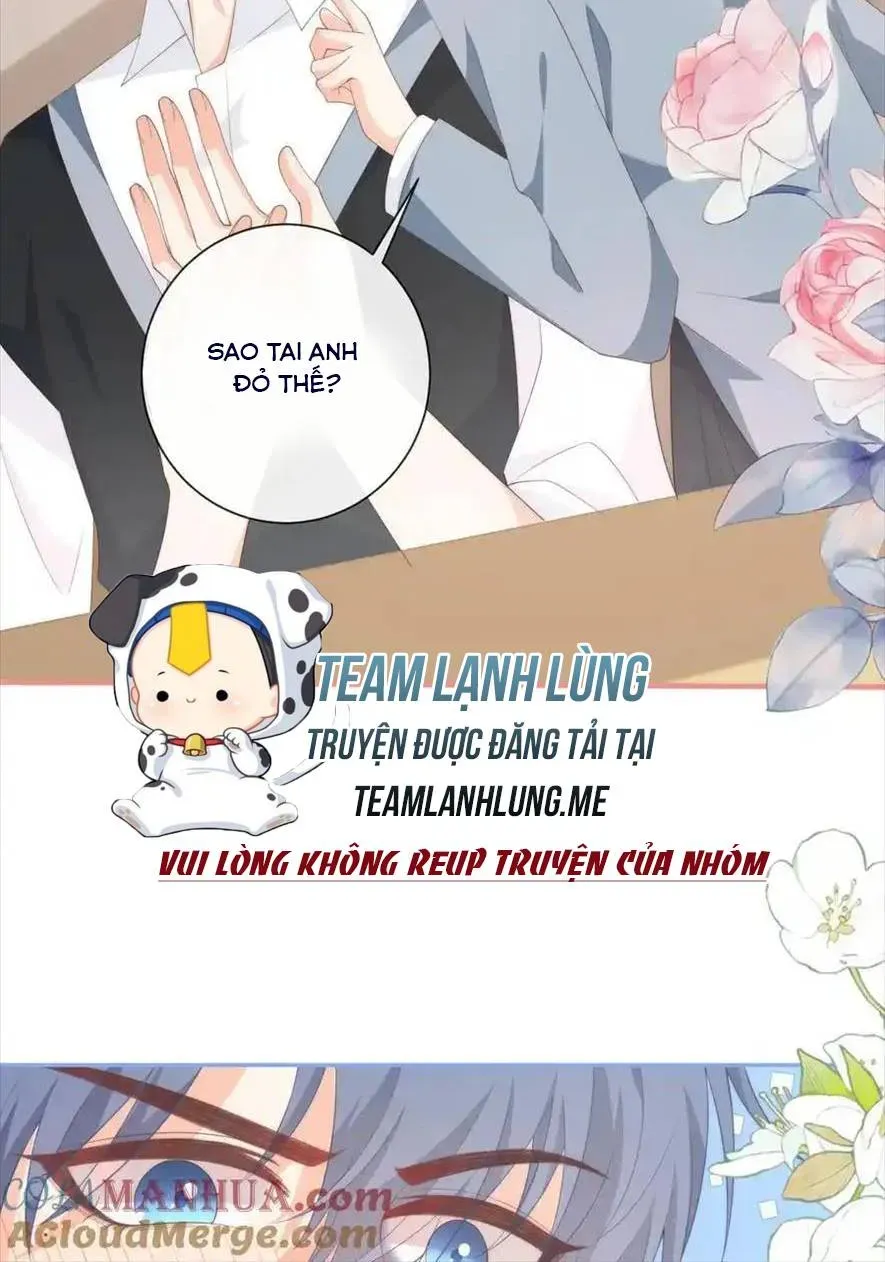 Sinh Trở Lại Làm Vợ Tổng Tài Chapter 113 - Trang 15