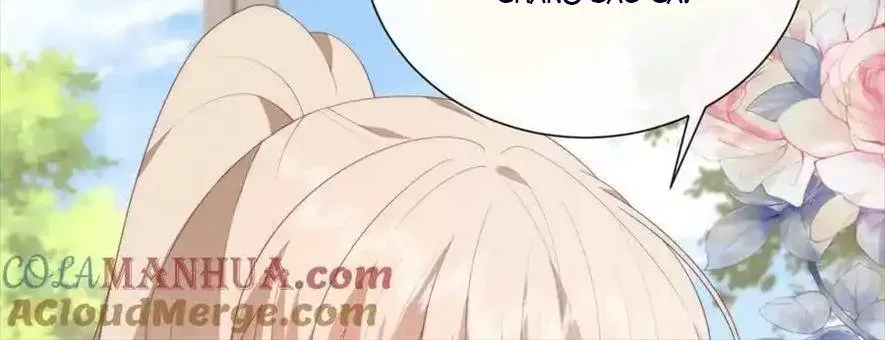 Sinh Trở Lại Làm Vợ Tổng Tài Chapter 114 - Trang 15