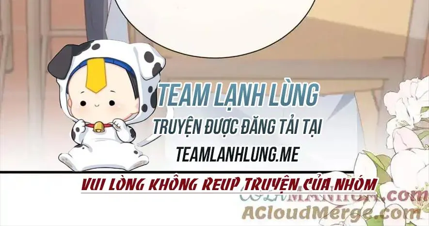 Sinh Trở Lại Làm Vợ Tổng Tài Chapter 116 - Trang 15