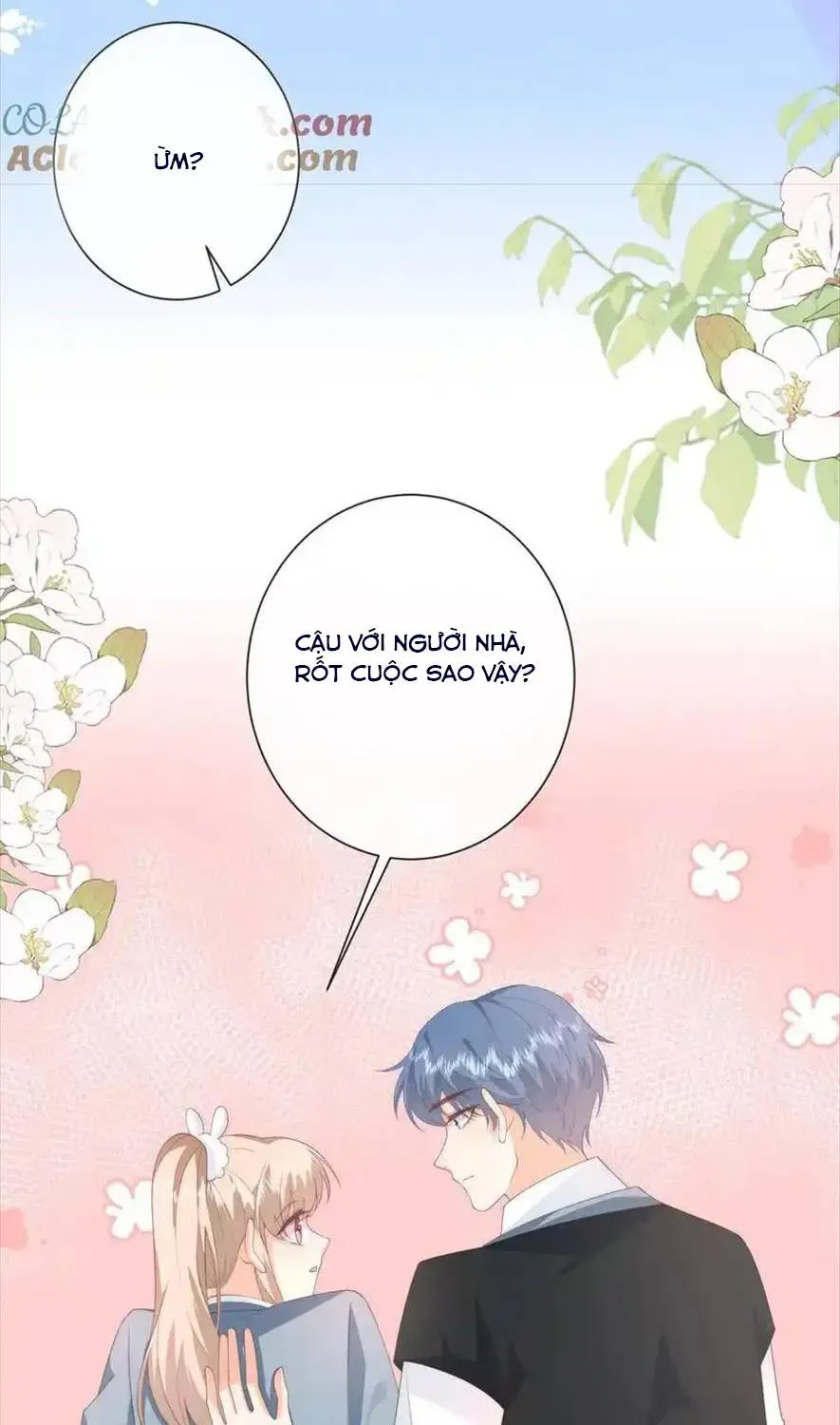 Sinh Trở Lại Làm Vợ Tổng Tài Chapter 120 - Trang 13