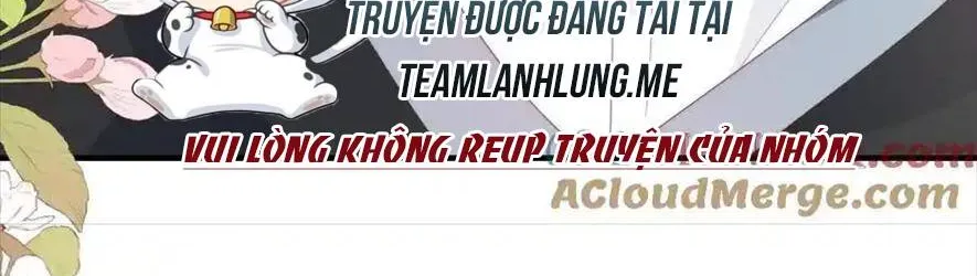 Sinh Trở Lại Làm Vợ Tổng Tài Chapter 120 - Trang 5