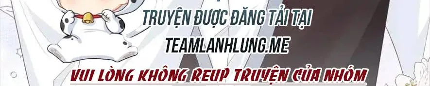 Sinh Trở Lại Làm Vợ Tổng Tài Chapter 121 - Trang 8