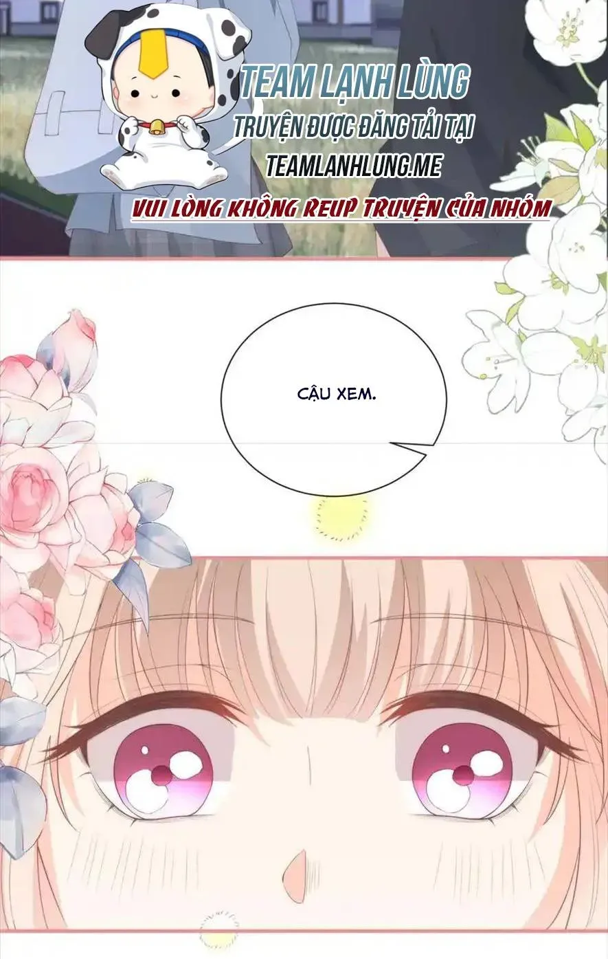 Sinh Trở Lại Làm Vợ Tổng Tài Chapter 122 - Trang 11