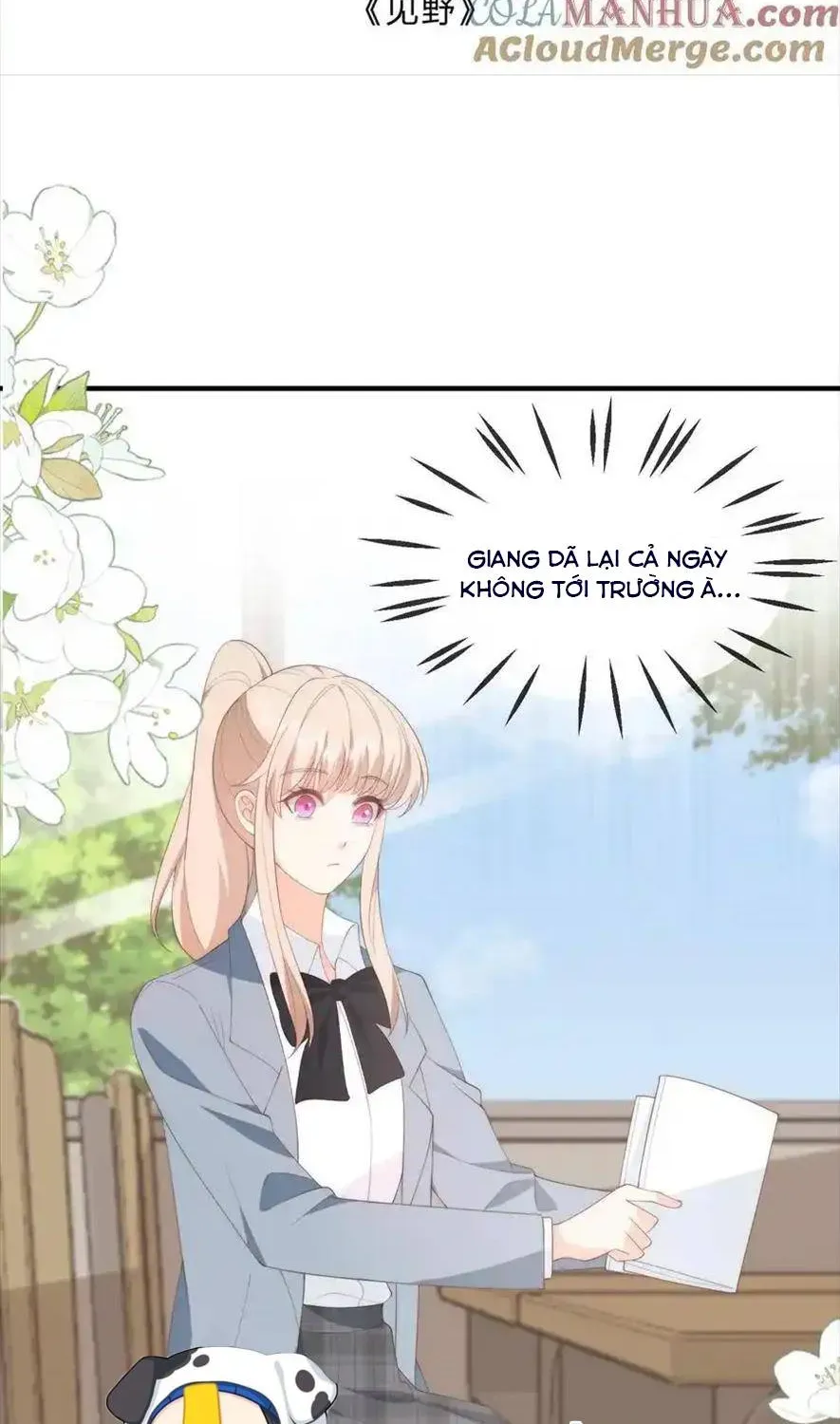 Sinh Trở Lại Làm Vợ Tổng Tài Chapter 122 - Trang 3