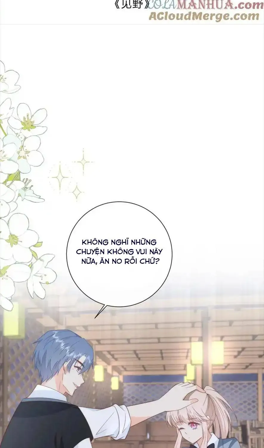 Sinh Trở Lại Làm Vợ Tổng Tài Chapter 133 - Trang 3