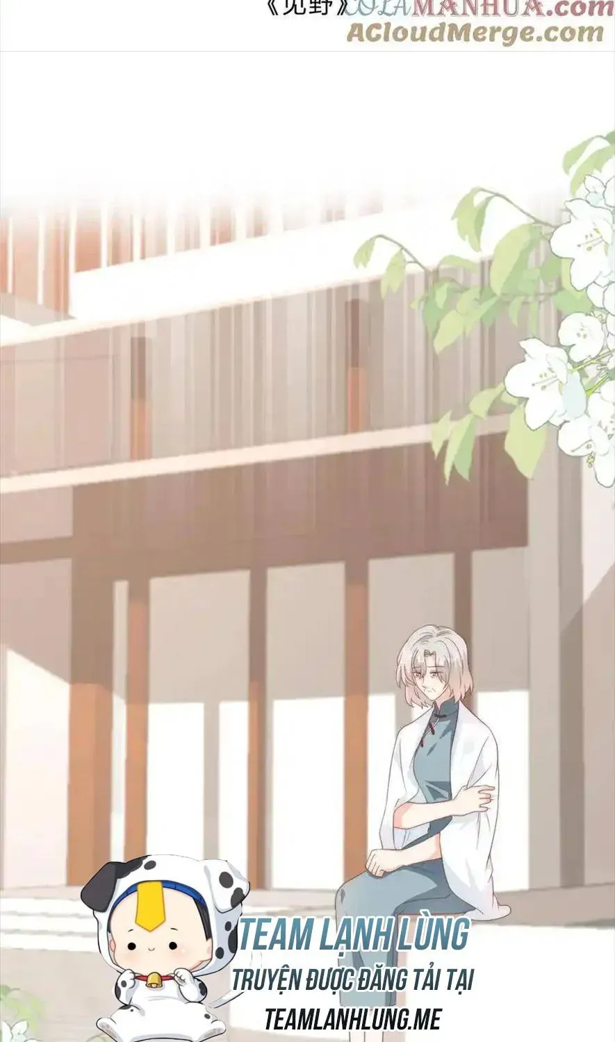 Sinh Trở Lại Làm Vợ Tổng Tài Chapter 135 - Trang 3
